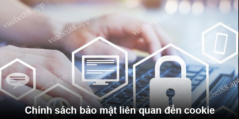 Chính sách bảo mật liên quan đến cookie