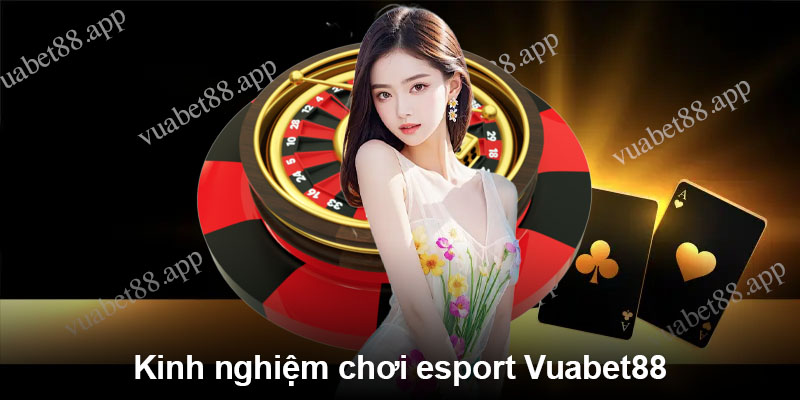 Kinh nghiệm chơi esport Vuabet88