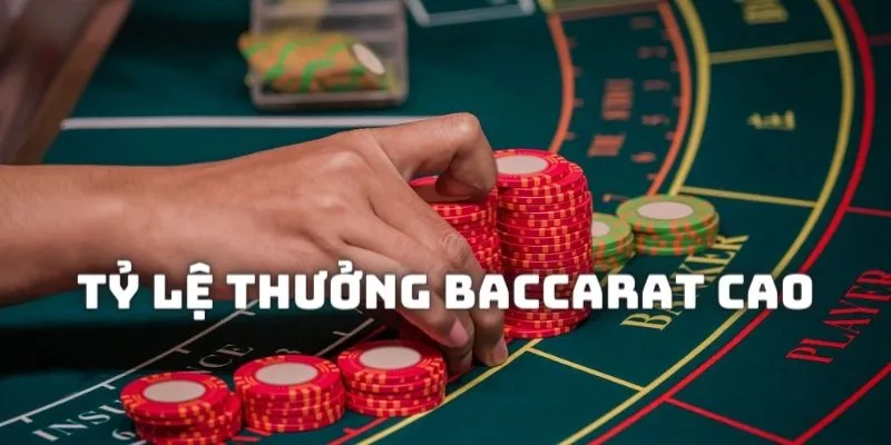 Hướng dẫn tính tỷ lệ trả thưởng khi chơi Baccarat