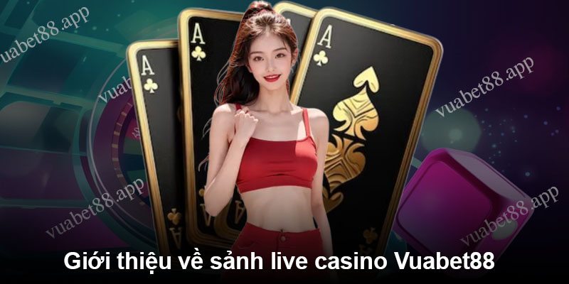 Giới thiệu về sảnh live casino Vuabet88