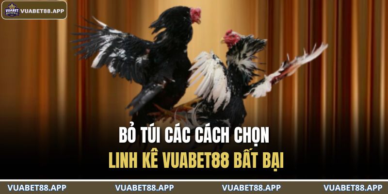 Bỏ túi các cách chọn linh kê VUABET88 bất bại
