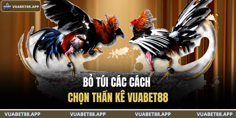 Thần Kê VUABET88 – Bí Ẩn Những Chiến Kê Bất Bại Trên Mọi Sới 4 Bỏ túi các cách chọn thần kê VUABET88
