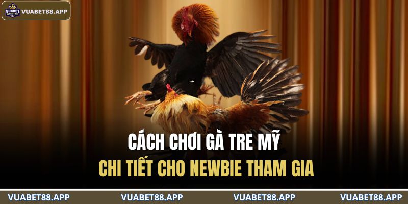 Cách chơi gà tre Mỹ chi tiết cho newbie tham gia