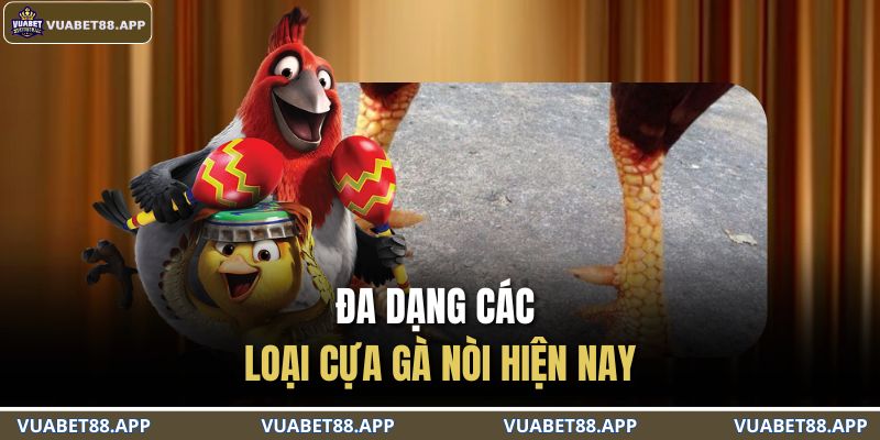 Đa dạng các loại cựa gà nòi hiện nay
