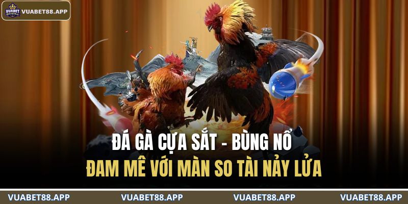 Đá Gà Cựa Sắt – Bùng Nổ Đam Mê Với Màn So Tài Nảy Lửa 1 đá gà cựa sắt