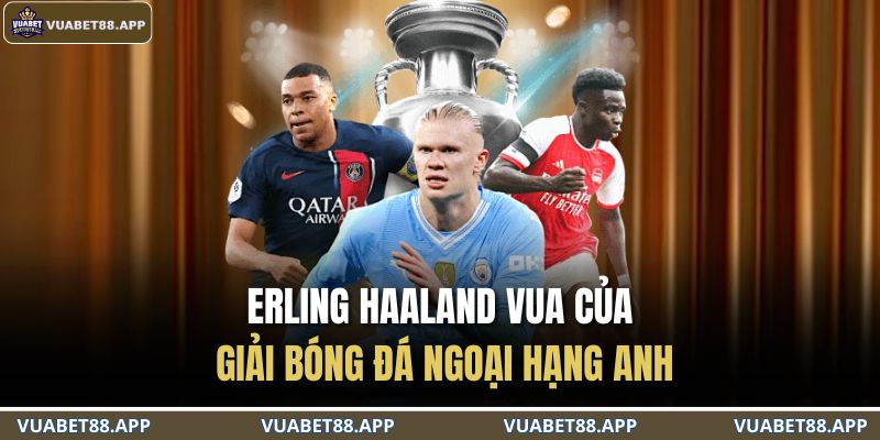 Erling Haaland vua của giải bóng đá Ngoại Hạng Anh