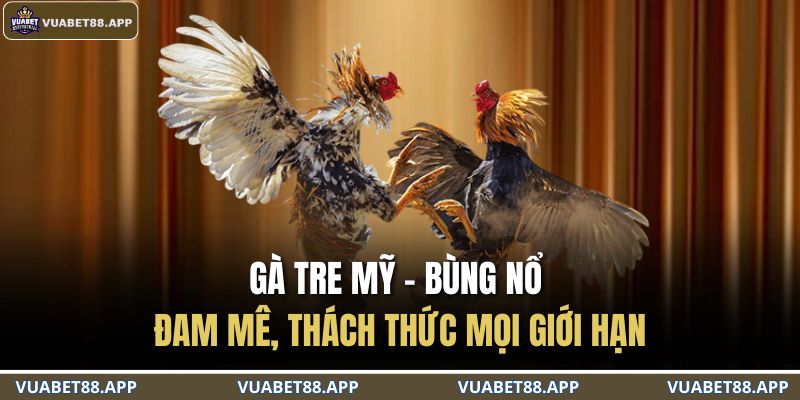 gà tre Mỹ