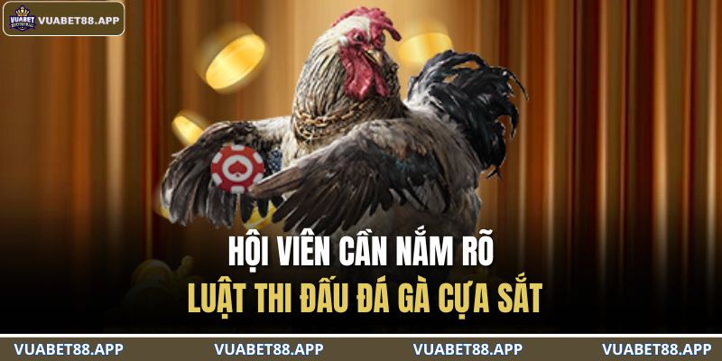 Đá Gà Cựa Sắt – Bùng Nổ Đam Mê Với Màn So Tài Nảy Lửa 3 Hội viên cần nắm rõ luật thi đấu đá gà cựa sắt