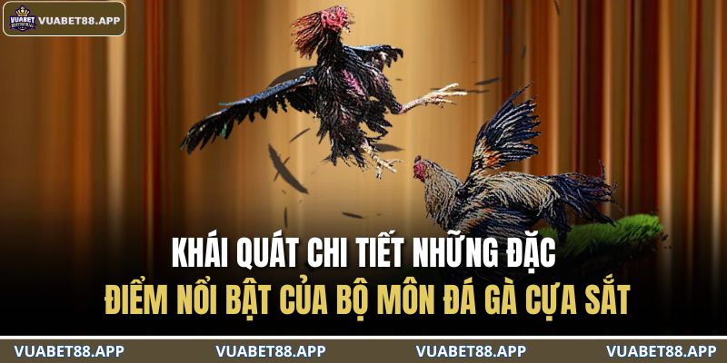 Đá Gà Cựa Sắt – Bùng Nổ Đam Mê Với Màn So Tài Nảy Lửa 2 Khái quát chi tiết những đặc điểm nổi bật của bộ môn đá gà cựa sắt