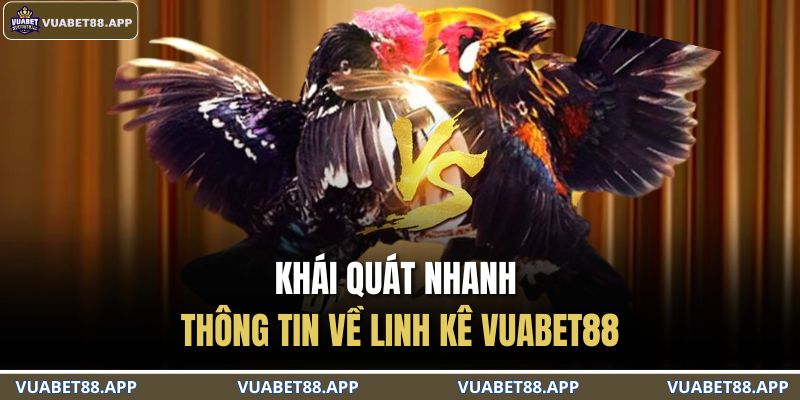 Khái quát nhanh thông tin về linh kê VUABET88
