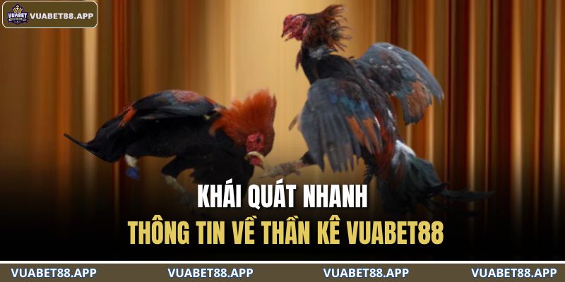 Thần Kê VUABET88 – Bí Ẩn Những Chiến Kê Bất Bại Trên Mọi Sới 2 Khái quát nhanh thông tin về thần kê VUABET88