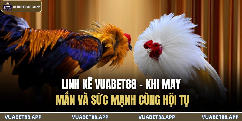 Linh kê VUABET88