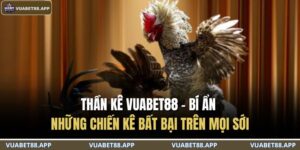 Thần Kê VUABET88 – Bí Ẩn Những Chiến Kê Bất Bại Trên Mọi Sới 15 Thần Kê VUABET88
