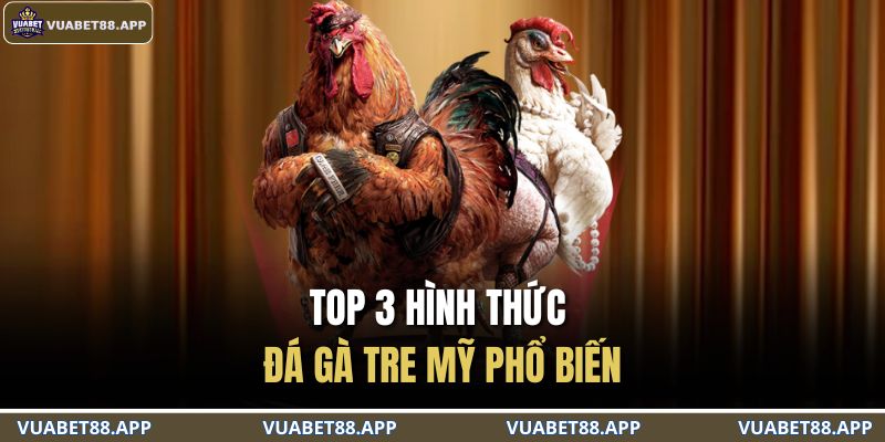 Top 3 hình thức đá gà tre mỹ phổ biến